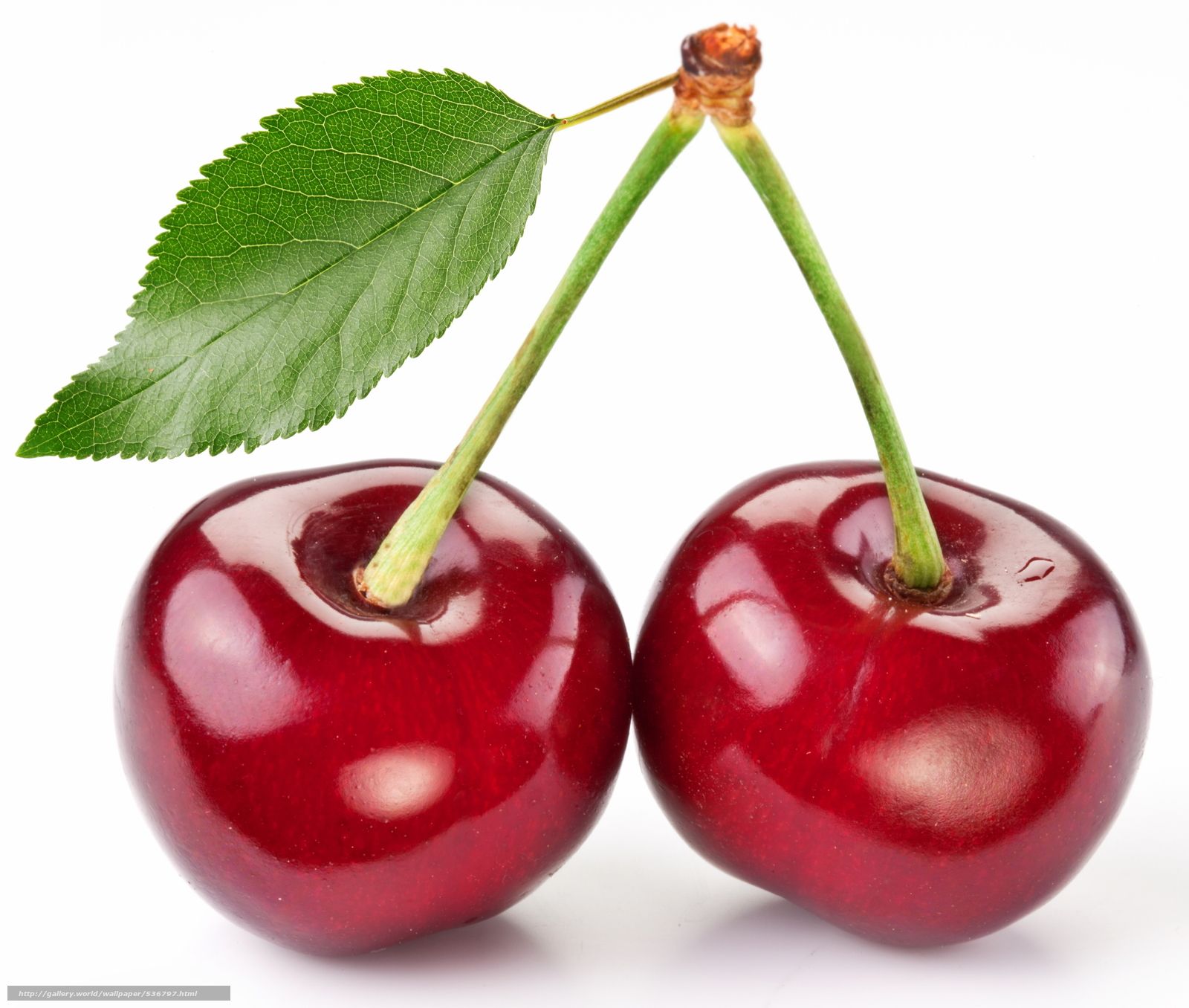 Cherry